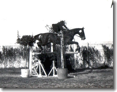 concorso ippico Stresa 1929